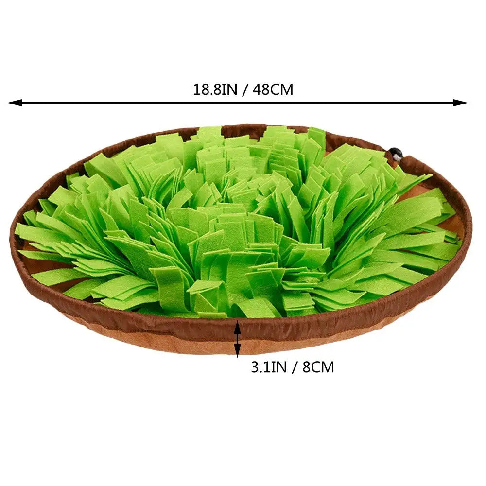 Interactive Feed Game – Enrichment, Foraging &amp; Calm Feeding in One Smart Mat