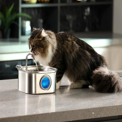 PureSip 3.2L – Fresh, Clean Hydration for Your Cat