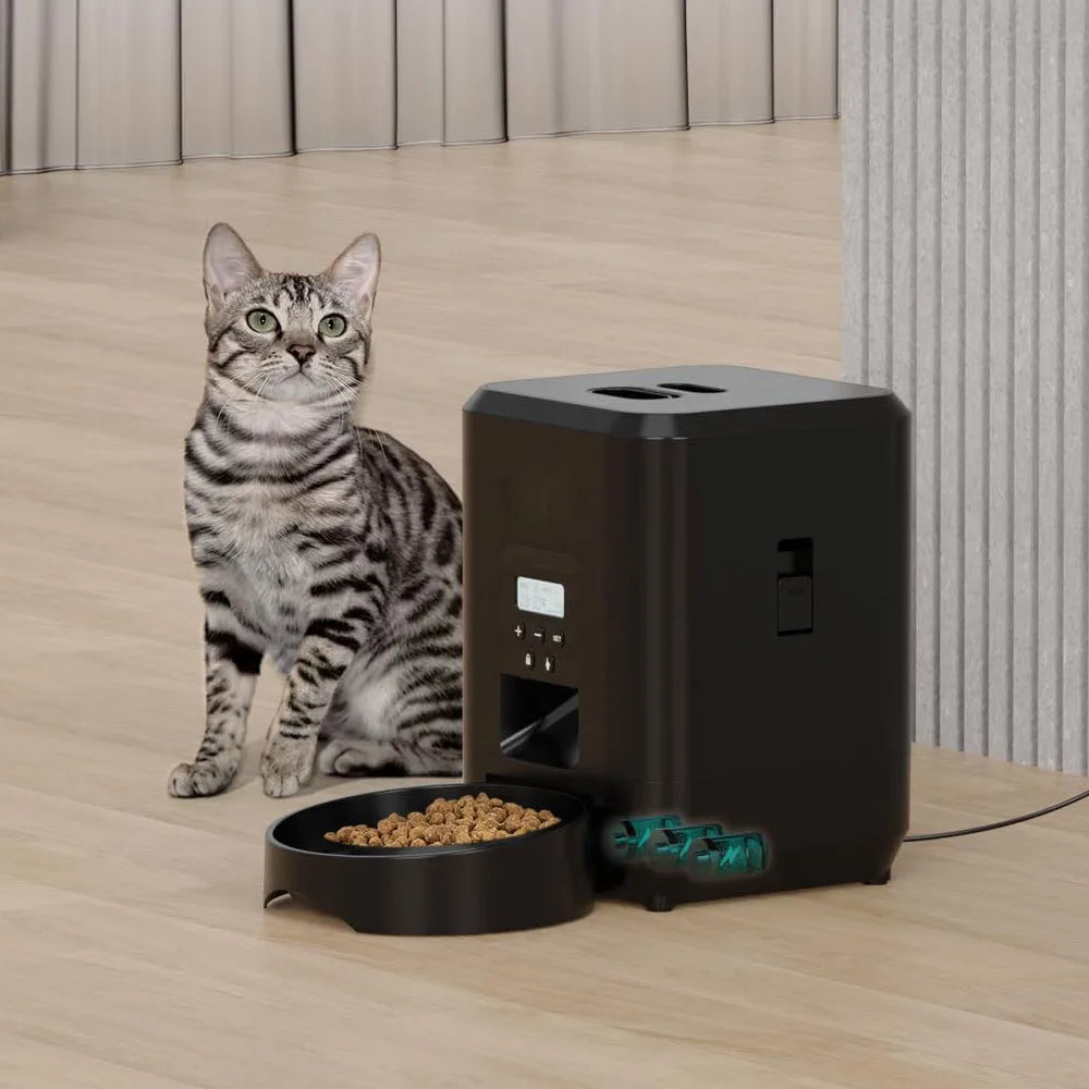 PawTempo Feeder – Precision Feeding for Happier, Healthier Cats