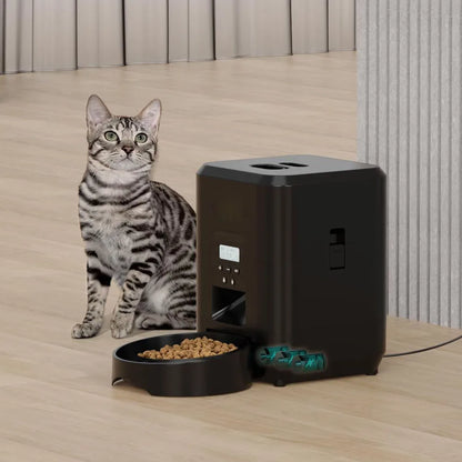 PawTempo Feeder – Precision Feeding for Happier, Healthier Cats