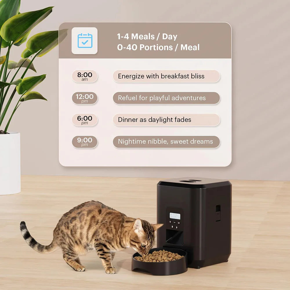 PawTempo Feeder – Precision Feeding for Happier, Healthier Cats